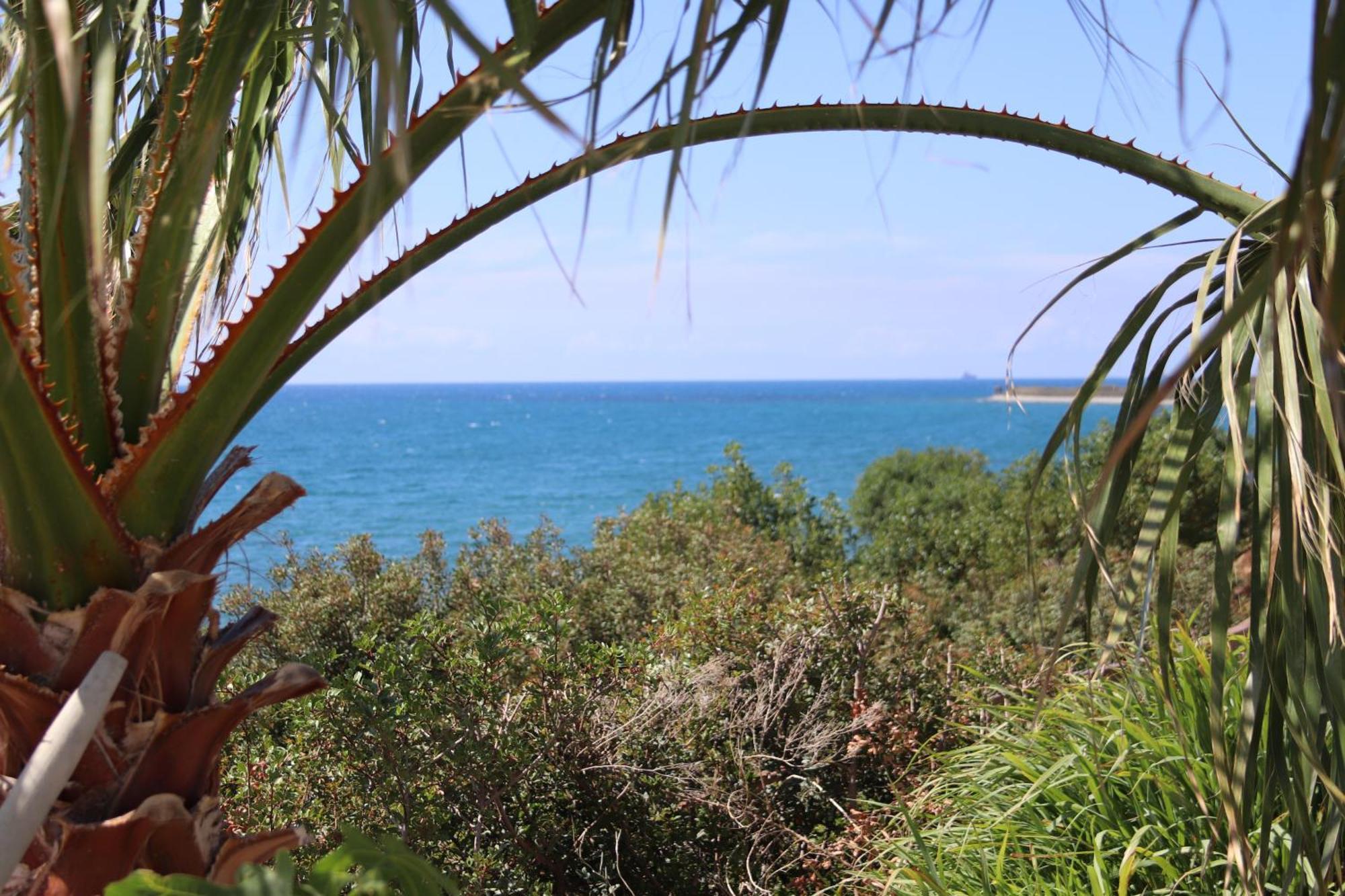 Summer Dream Cyprus Maroni Buitenkant foto